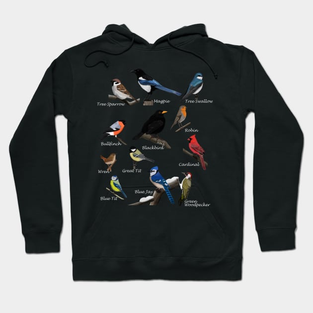 Backyard Birds Sparrow Cardinal Jay Wren Illustration Hoodie by jzbirds